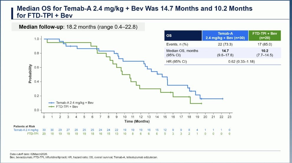 Arndt Vogel ESMO 2026 slide photo: overall survival for Temab-A plus bevacizumab vs FTD-TPI plus bevacizumab, Kaplan-Meier curve, presented by Michael Cecchini
