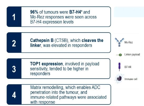 Kathleen Moore ESMO 2026 slide image: BEHOLD-1 translational findings for mocertatug rezetecan in platinum-resistant ovarian cancer, B7-H4 expression, cathepsin B and TOP1 expression in responders
