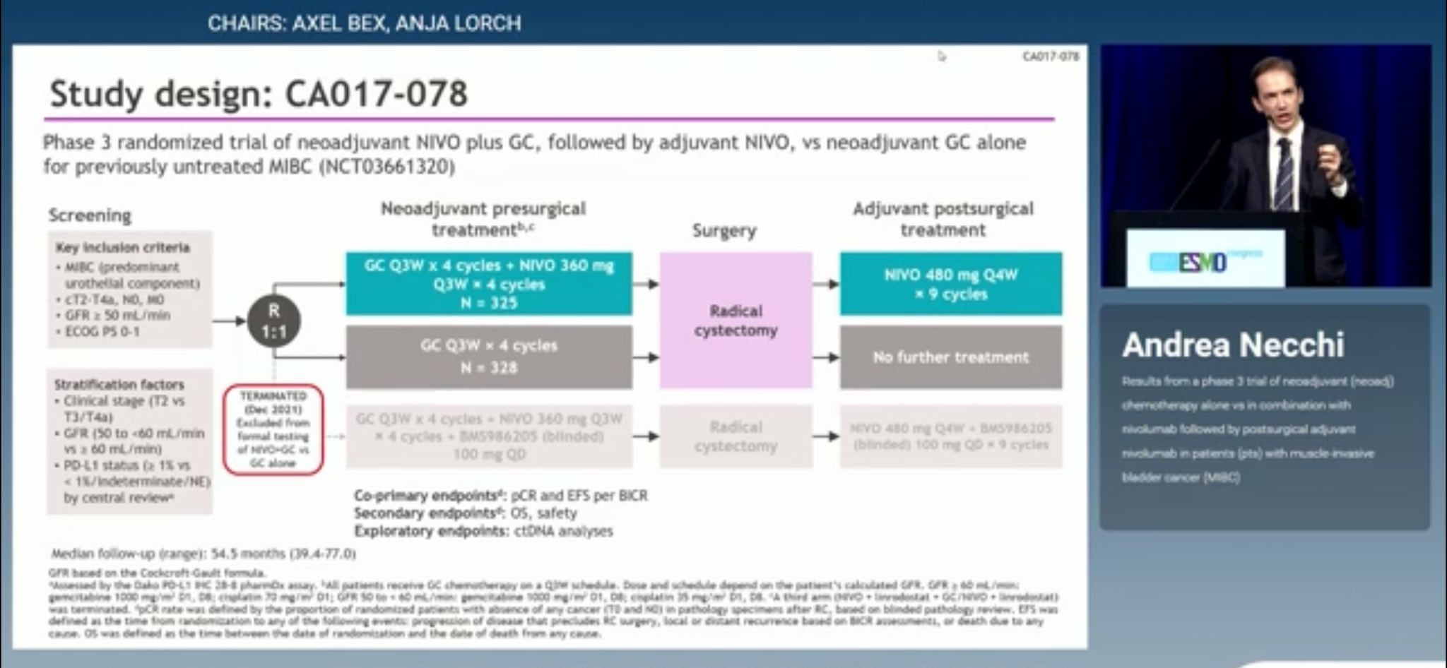 ENERGIZE CA017-078 study design slide, ESMO 2026: neoadjuvant nivolumab plus gemcitabine/cisplatin then adjuvant nivolumab vs gemcitabine/cisplatin alone, N=325 vs 328, third arm with BMS986205 terminated December 2021, presented by Andrea Necchi