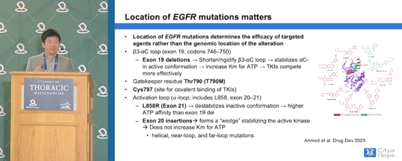 DAVA Lung 2026 (#DAVALung) slide - Matthew Lee on how EGFR mutation location influences TKI response