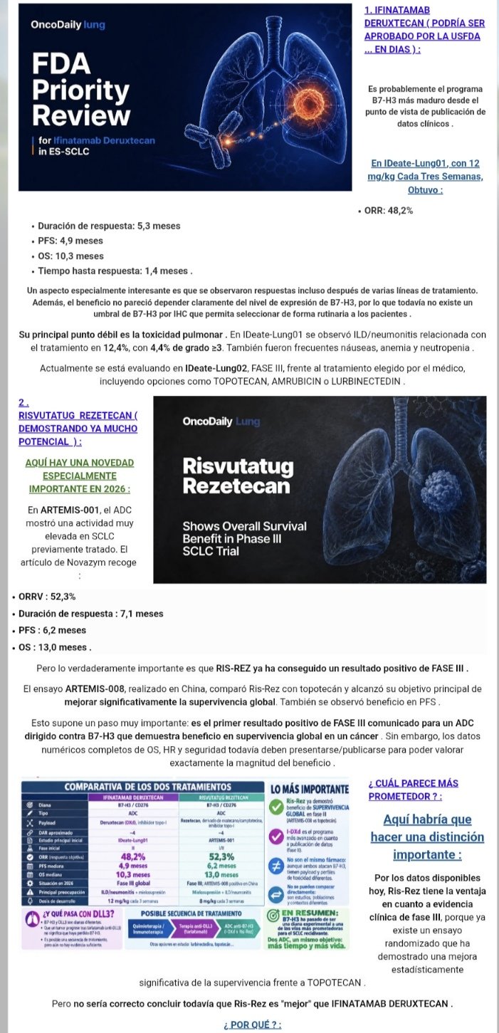 SMALL CELL LUNG CANCER
B7-H3 ENTRA EN ESCENA
DOS NUEVOS ADC: IFINATAMAB DERUXTECAN ( I-D