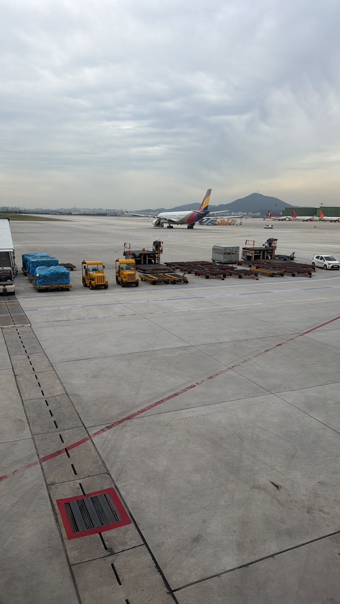 ✈️Bye for now 🇰🇷 #WCLC26! A quick side quest to Shanghai 🇨🇳 give a talk to my colleague