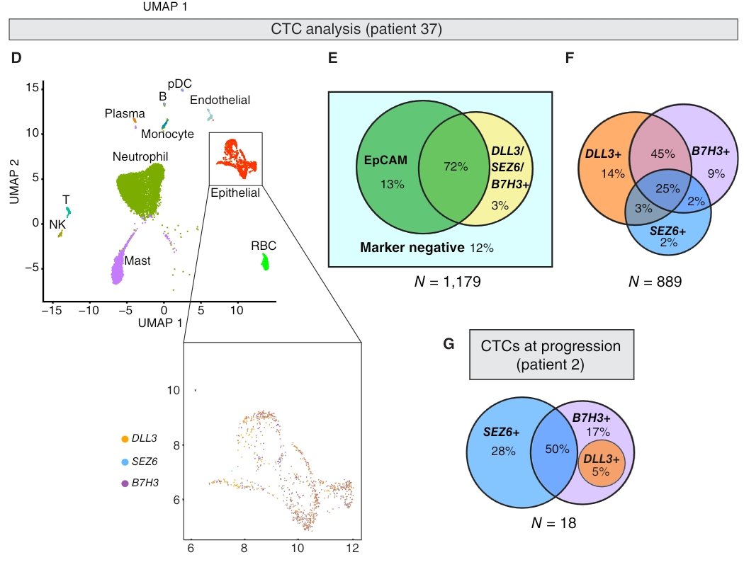 ADC anti B7H3: promising results in pretreated SCLC. It would be nice to see the impact of