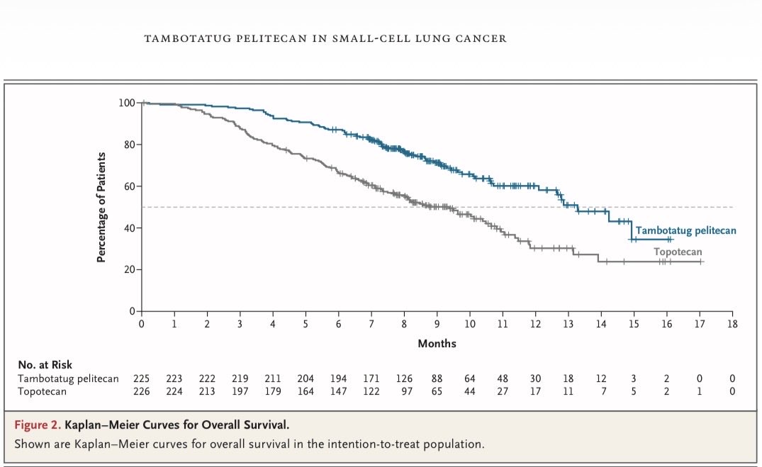 TAISHAN-302 🔥
Tam-Peli vs topotecan in relapsed SCLC:
OS: 13.3 vs 9.4 mo
HR 0.46 | P<0.0
