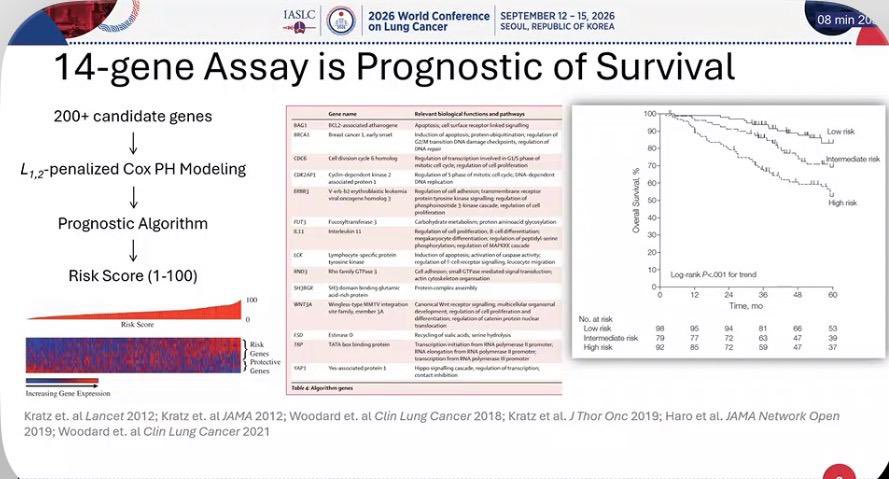 🫁 Molecular risk stratification may identify early-stage NSCLC patients who benefit from a