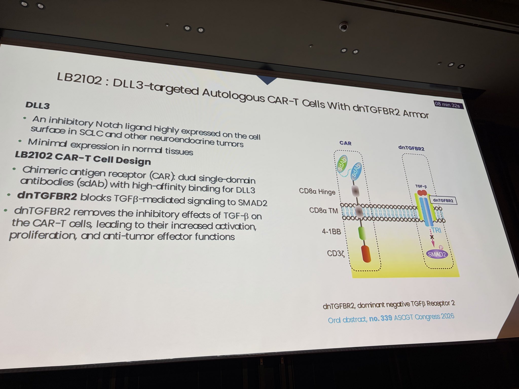Dr Chiappori presenting LB2102, an armored DLL3-CAR-T Cell Therapy #WCLC26. CRS and ICANS