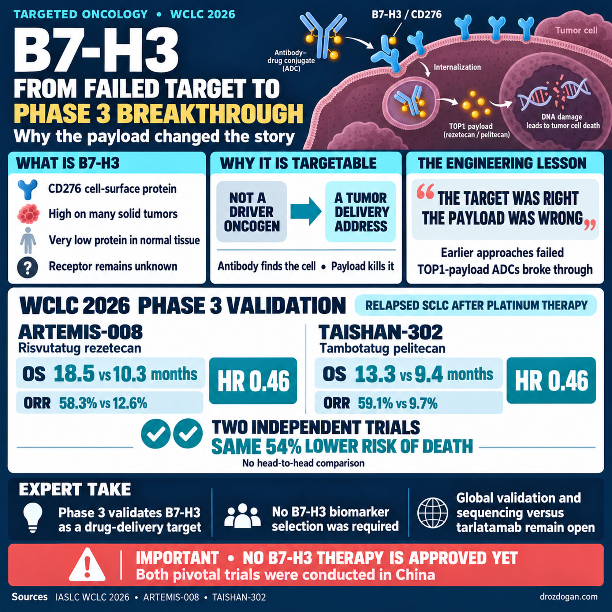 B7-H3 is no longer just a promising tumor marker. At #WCLC26, two independent Phase 3 ADC