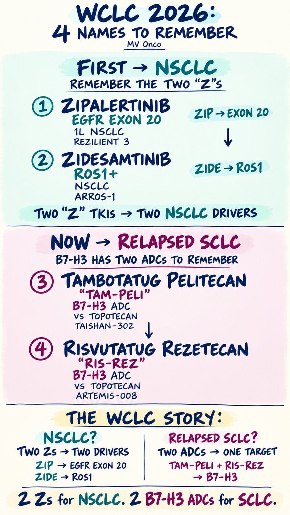 WCLC 2026 🫁 | 4 names worth remembering.
For NSCLC, remember the two Zs:
ZIP → EGFR exon