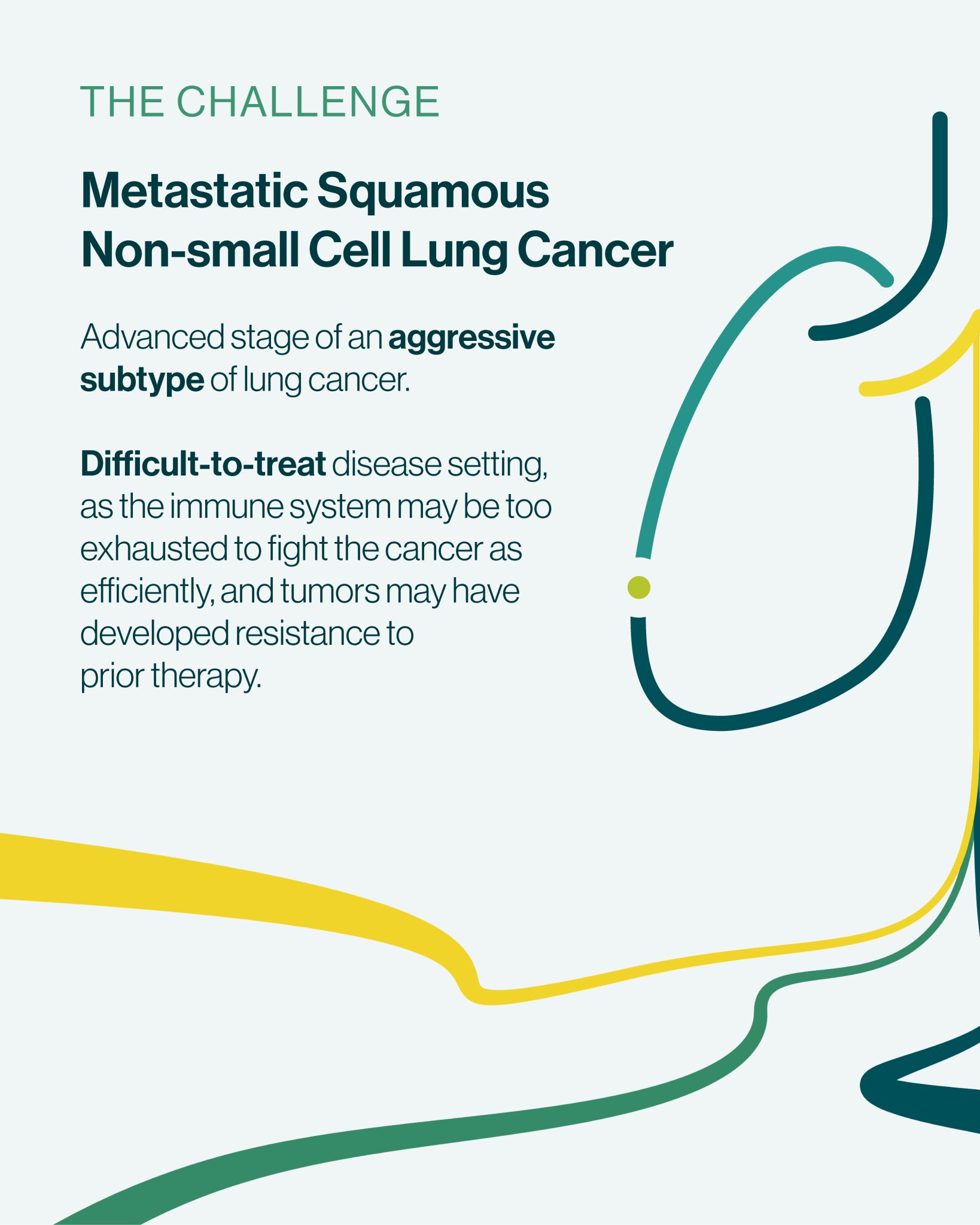 📢 Oncology news in 2L+ sqNSCLC: We presented the first median overall survival data from t