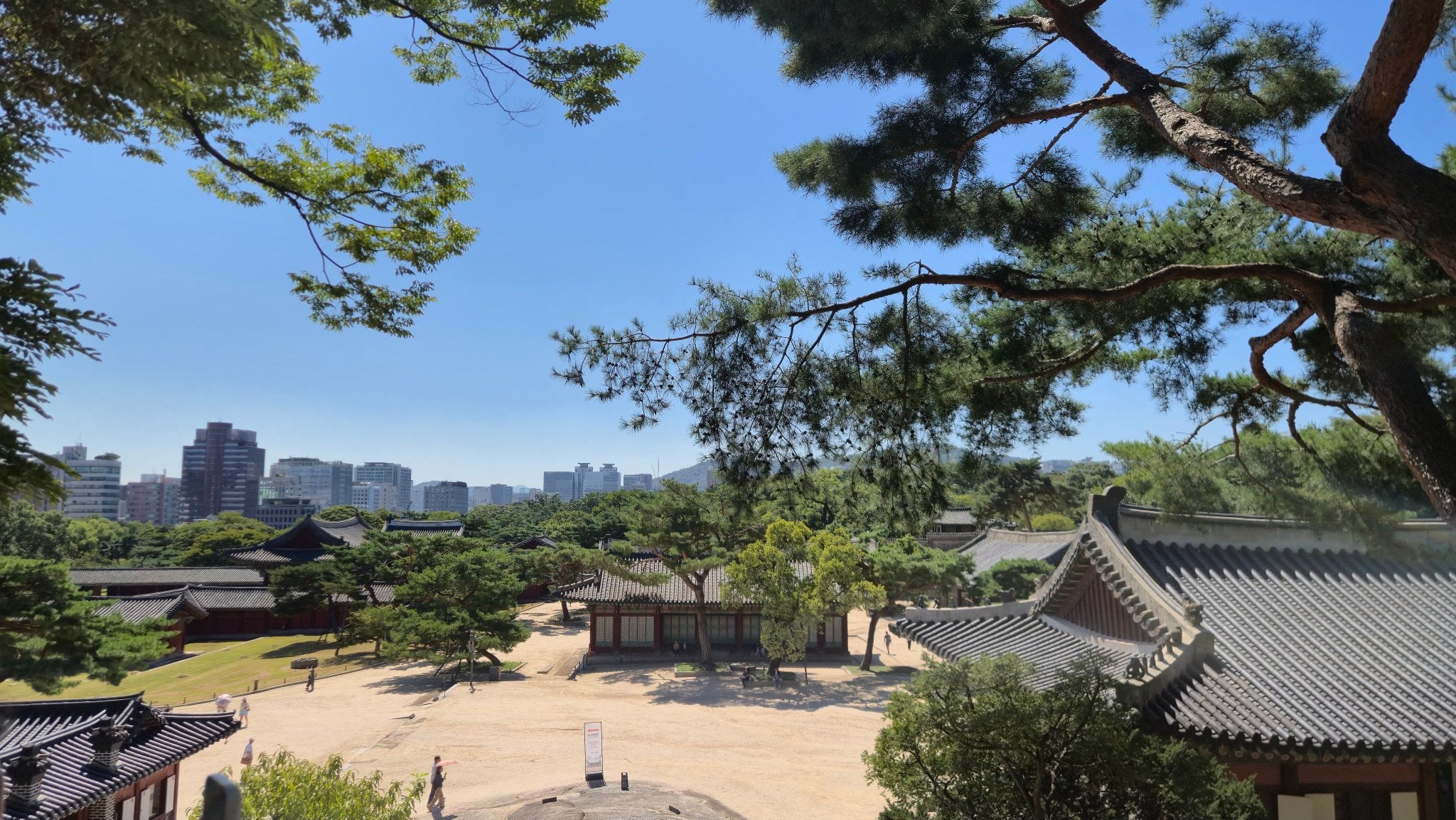 Beyond #WCLC26. 🫰🏽Seoul 🇰🇷 https://t.co/5PTuvicGII